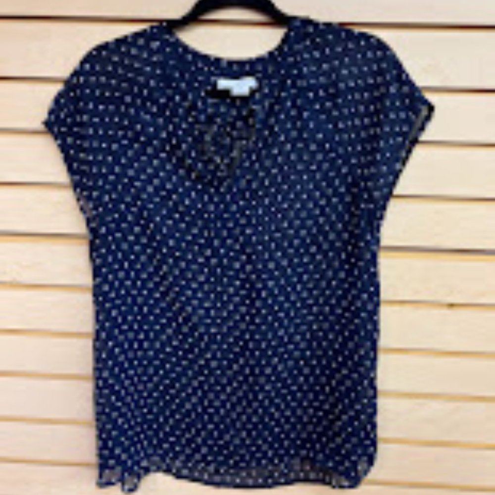 Blue Sheer Short Sleeve Blouse